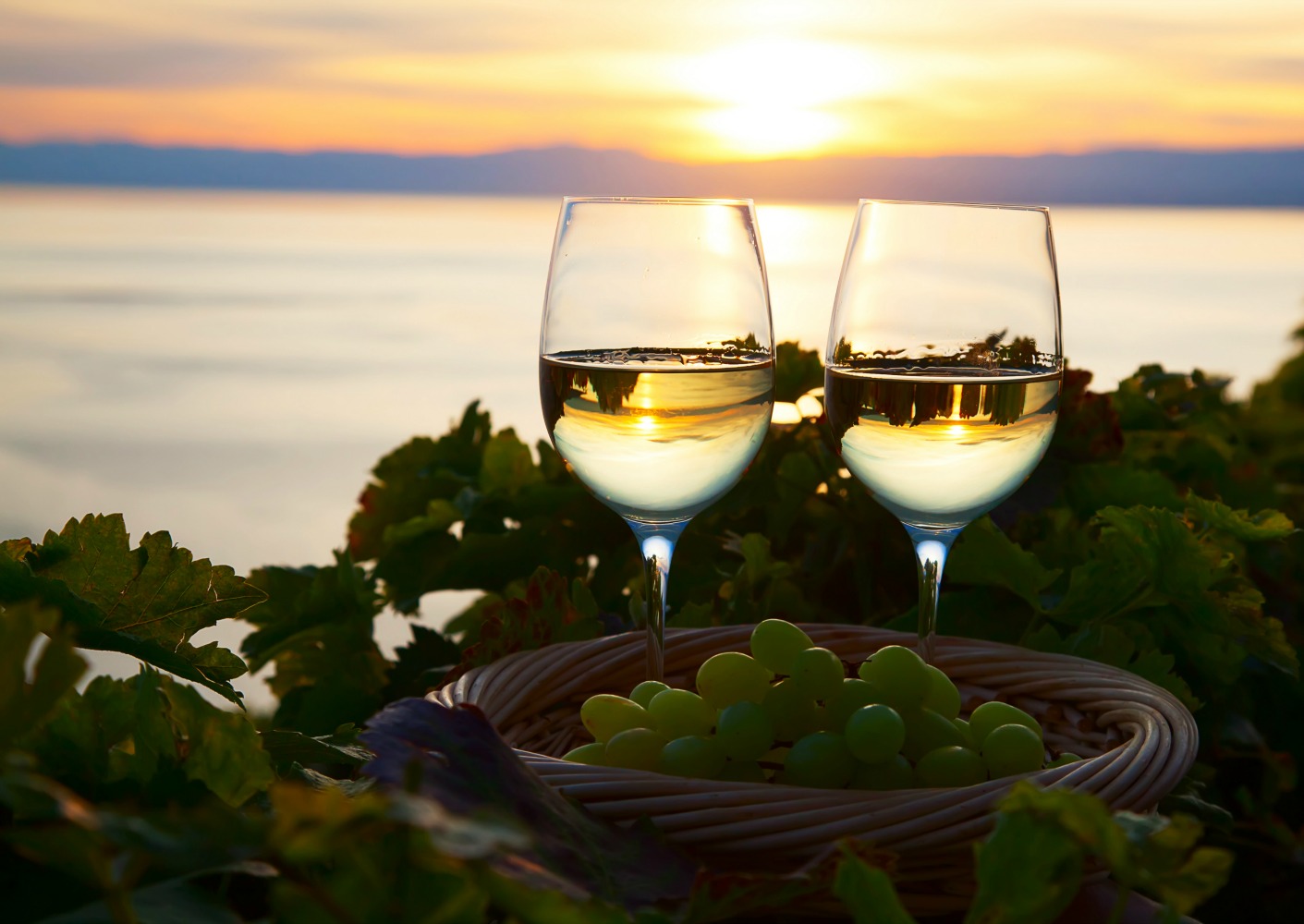 Vineyards of the Lavaux region over lake Leman (lake of Geneva)