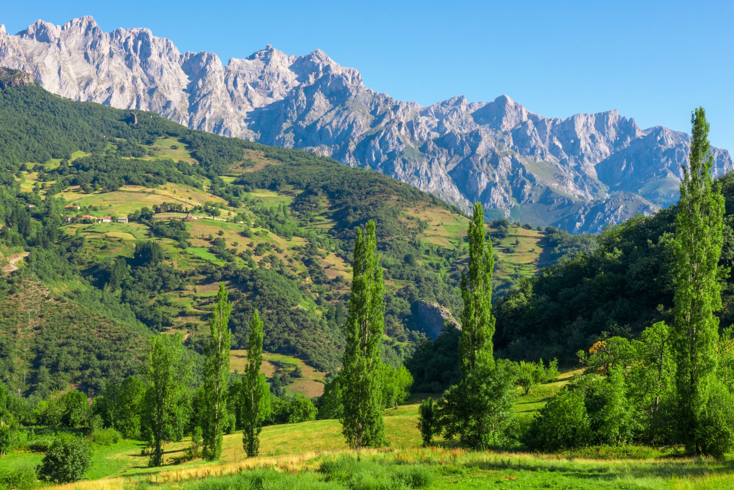 POD Travels - Picos de Europa